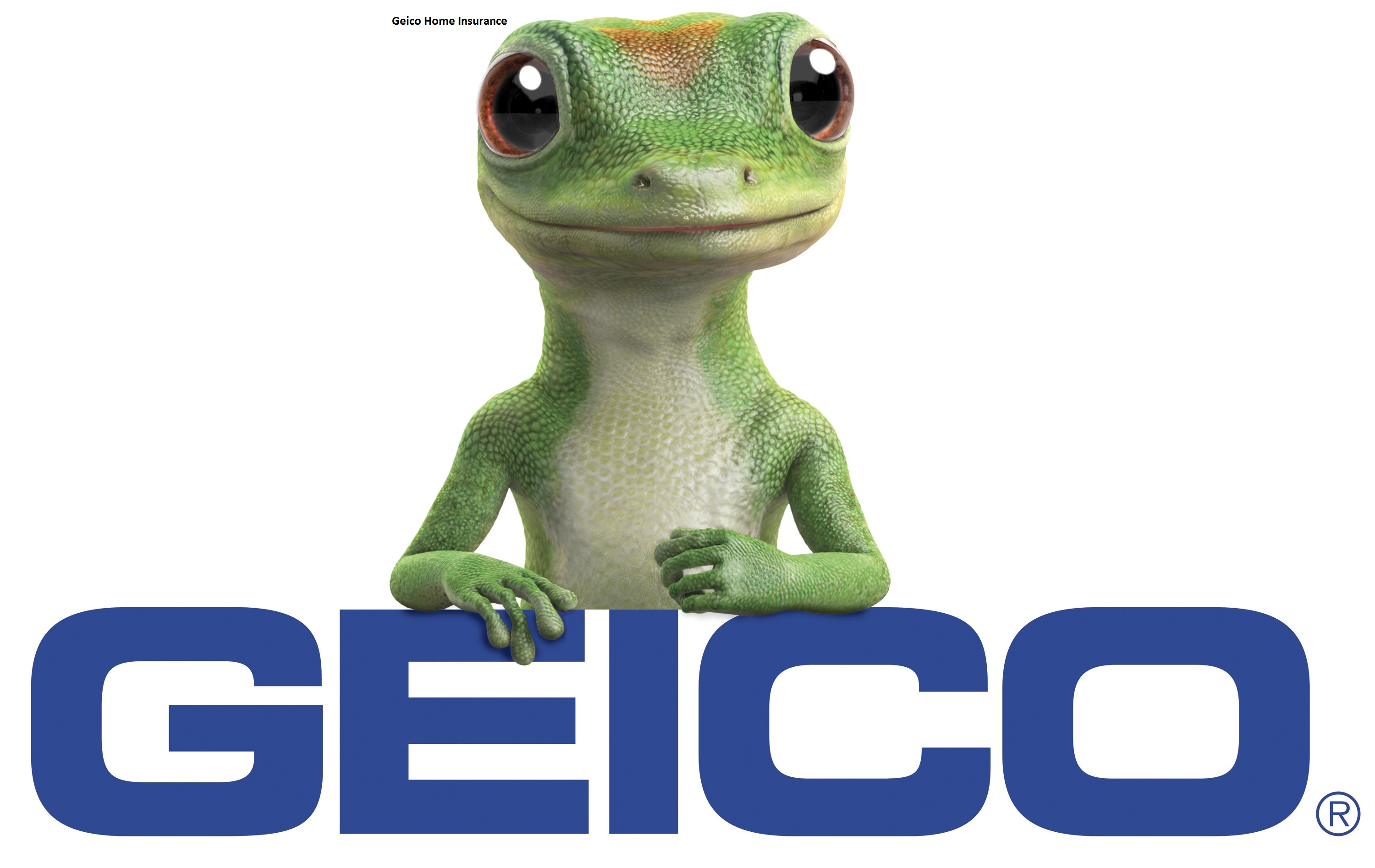 Geico Home Insurance Quote and Best Review For Builders Risk