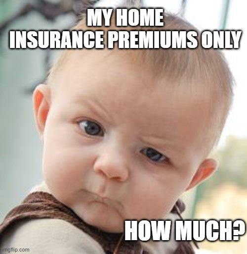 Home Insurance Meme 28