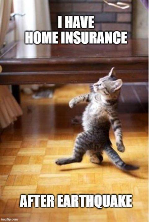 Home Insurance Memes| Best Funniest Meme Ever!