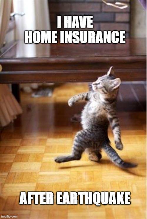 Home Insurance Meme 1