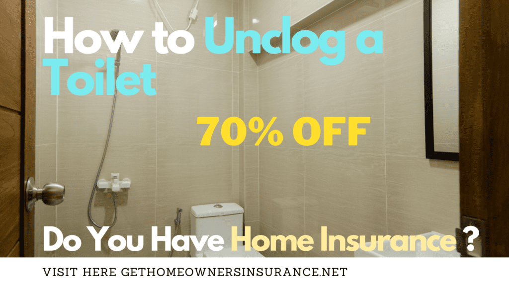 How To Unclog a Toilet